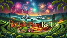 Bán pháo hoa tại Bảo Lộc: Chính hãng, giá tốt, giao hàng nhanh