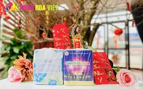 Pháo hoa giàn phun hoa 56 ống mới nhất 2023