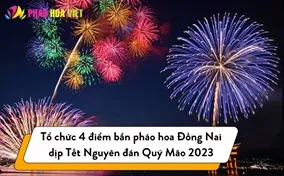 Tổ chức 4 điểm bắn pháo hoa Đồng Nai Tết Nguyên đán Quý Mão