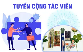 Tuyển cộng tác viên bán buôn pháo hoa hợp pháp