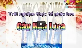 Review thực tế sản phẩm pháo hoa Cây Hoa Lửa