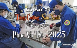 Pháo Hoa Tết 2025: Bộ Quốc Phòng Đẩy Mạnh Cung Ứng Đáp Ứng Nhu Cầu