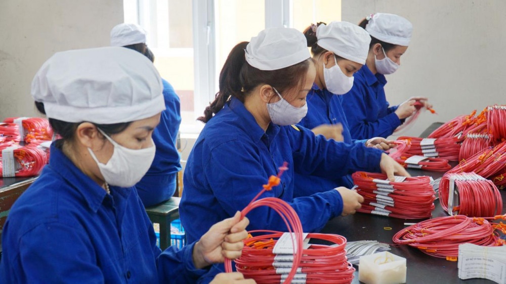 Dây chuyền và khu nhà xưởng nhà máy Z121