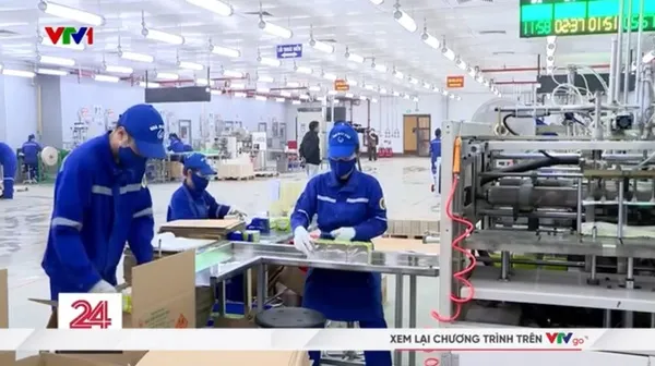 Tầm nhìn phát triển sản phẩm pháo hoa Z121 - hình 06