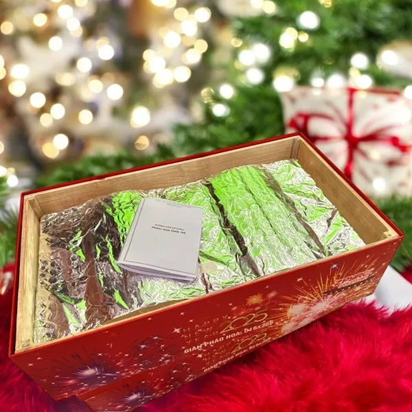 Chi tiết ống phóng D16 – pháo hoa giàn phun viên 368